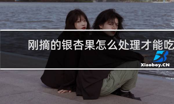 刚摘的银杏果怎么处理才能吃
