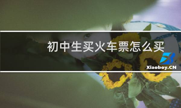 初中生买火车票怎么买