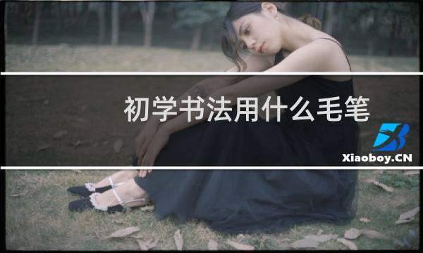 初学书法用什么毛笔