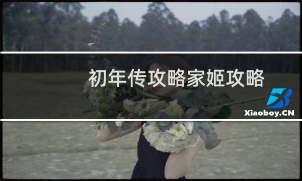 初年传攻略家姬攻略