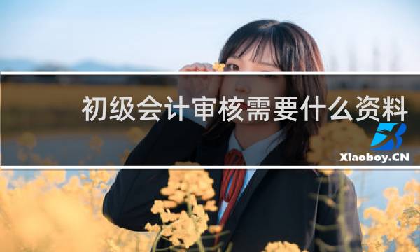 初级会计审核需要什么资料