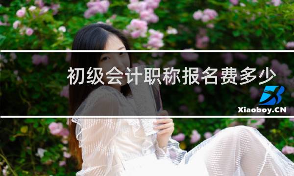 初级会计职称报名费多少