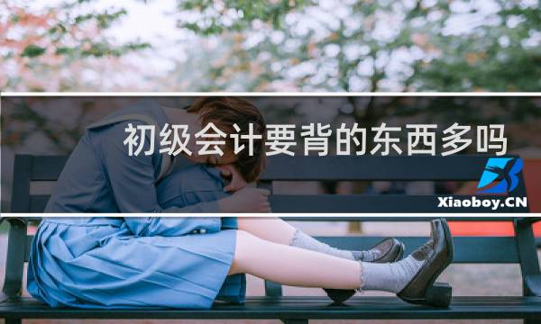初级会计要背的东西多吗