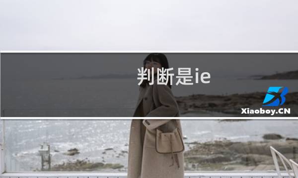 判断是ie chrome