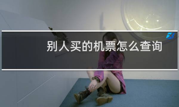 别人买的机票怎么查询