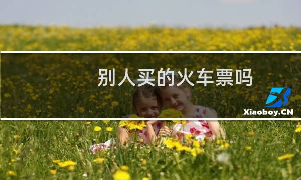 别人买的火车票吗