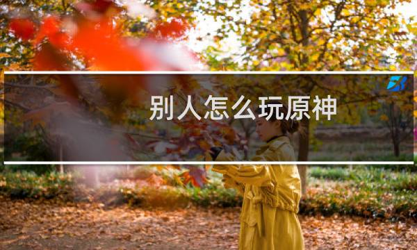 别人怎么玩原神