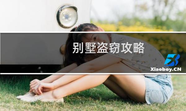 别墅盗窃攻略