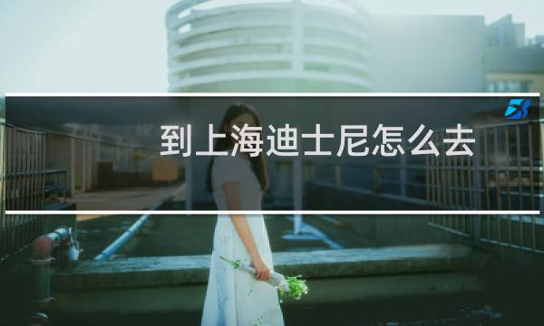 到上海迪士尼怎么去