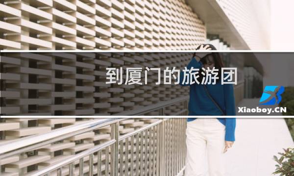 到厦门的旅游团