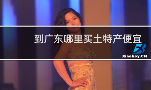 到广东哪里买土特产便宜
