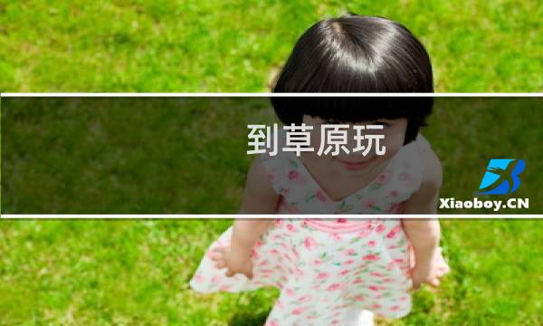 到草原玩