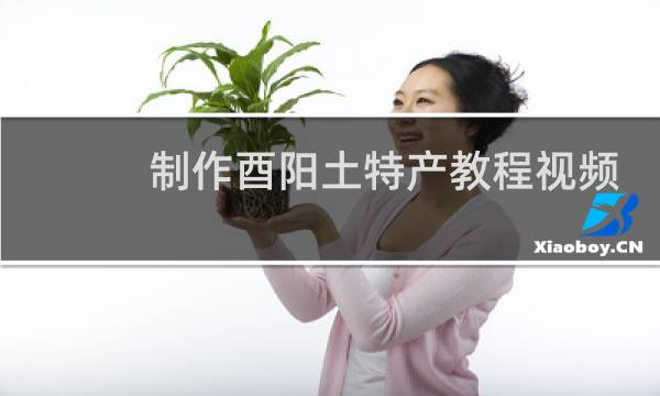 制作酉阳土特产教程视频
