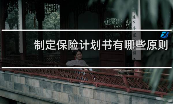 制定保险计划书有哪些原则