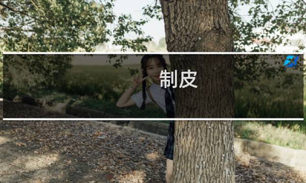 制皮 攻略