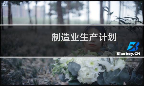 制造业生产计划