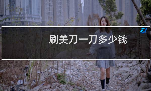 刷美刀一刀多少钱