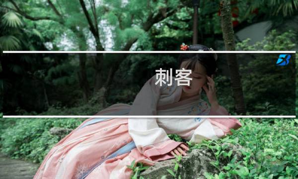 刺客 燎原攻略