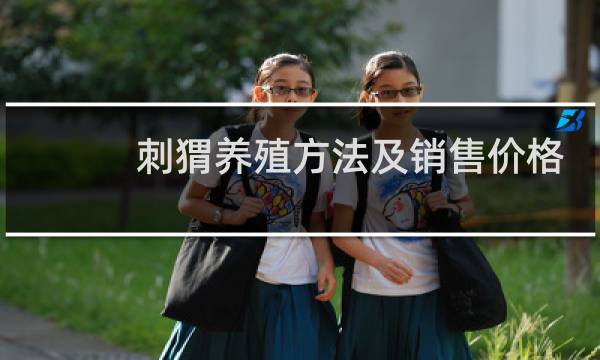 刺猬养殖方法及销售价格