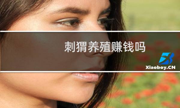 刺猬养殖赚钱吗