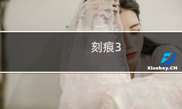 刻痕3 后篇 攻略