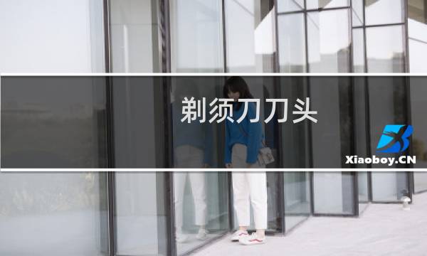 剃须刀刀头