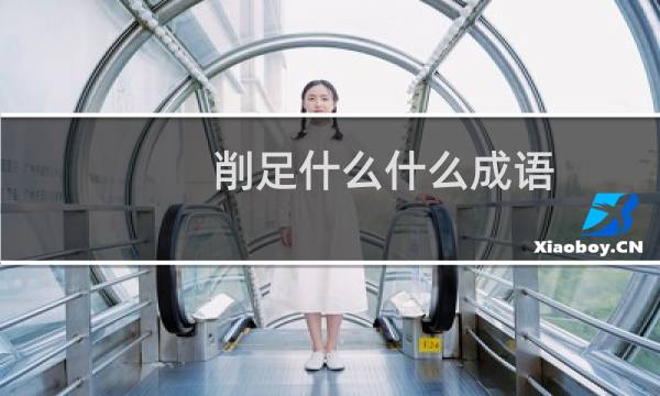 削足什么什么成语