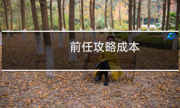 前任攻略成本