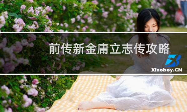 前传新金庸立志传攻略