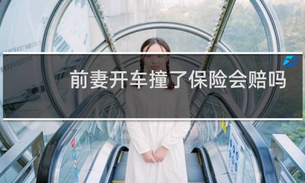 前妻开车撞了保险会赔吗