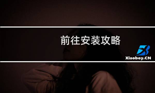 前往安装攻略