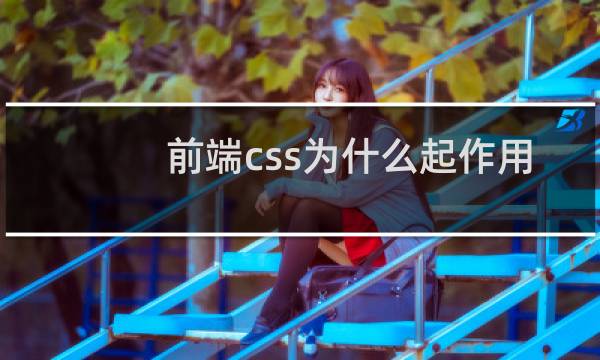 前端css为什么起作用