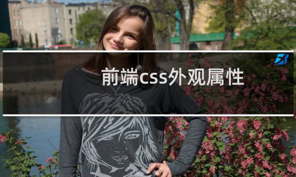 前端css外观属性