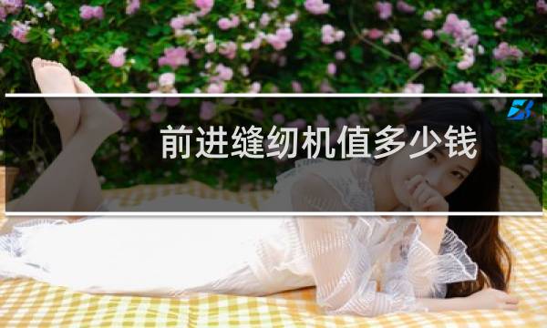 前进缝纫机值多少钱