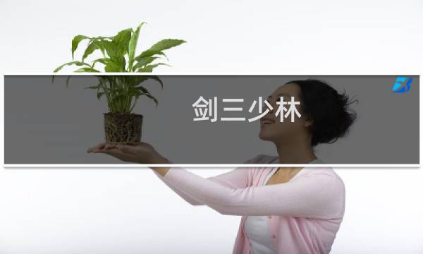 剑三少林 攻略