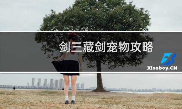 剑三藏剑宠物攻略