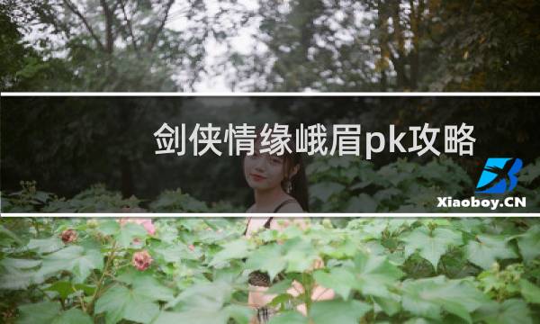 剑侠情缘峨眉pk攻略