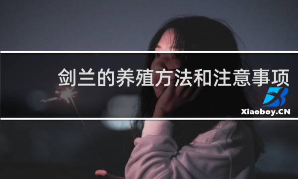 剑兰的养殖方法和注意事项