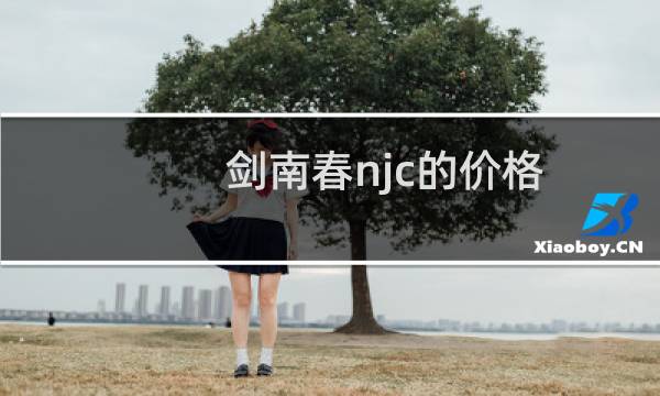 剑南春njc的价格