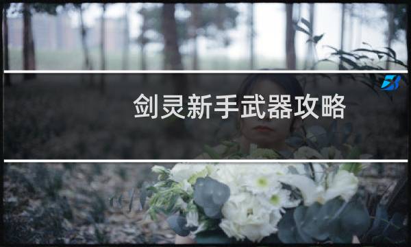 剑灵新手武器攻略