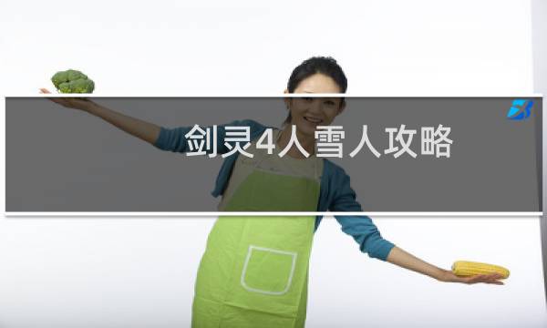 剑灵4人雪人攻略