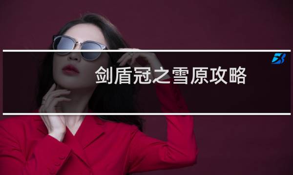 剑盾冠之雪原攻略