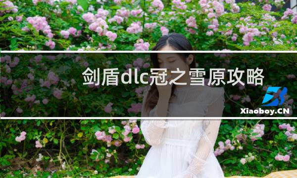 剑盾dlc冠之雪原攻略