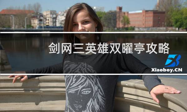 剑网三英雄双曜亭攻略
