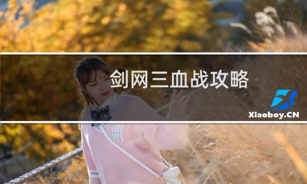 剑网三血战攻略