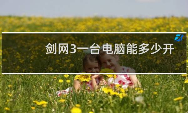 剑网3一台电脑能多少开