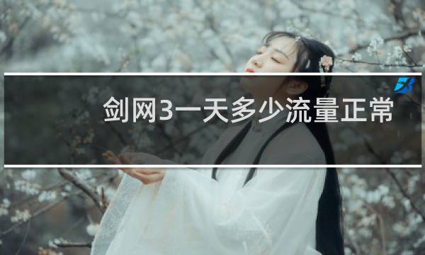 剑网3一天多少流量正常