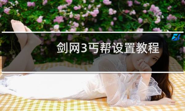 剑网3丐帮设置教程