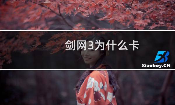 剑网3为什么卡