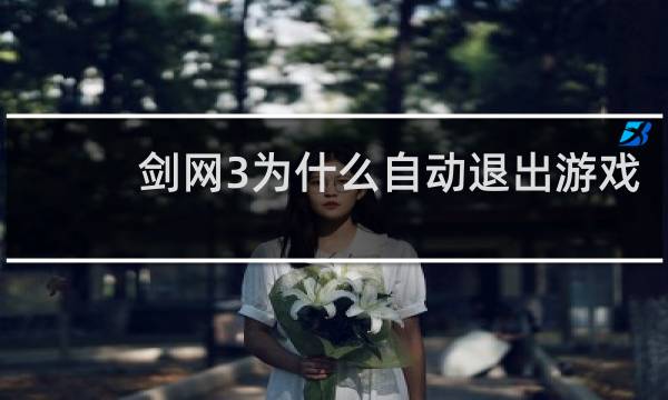 剑网3为什么自动退出游戏